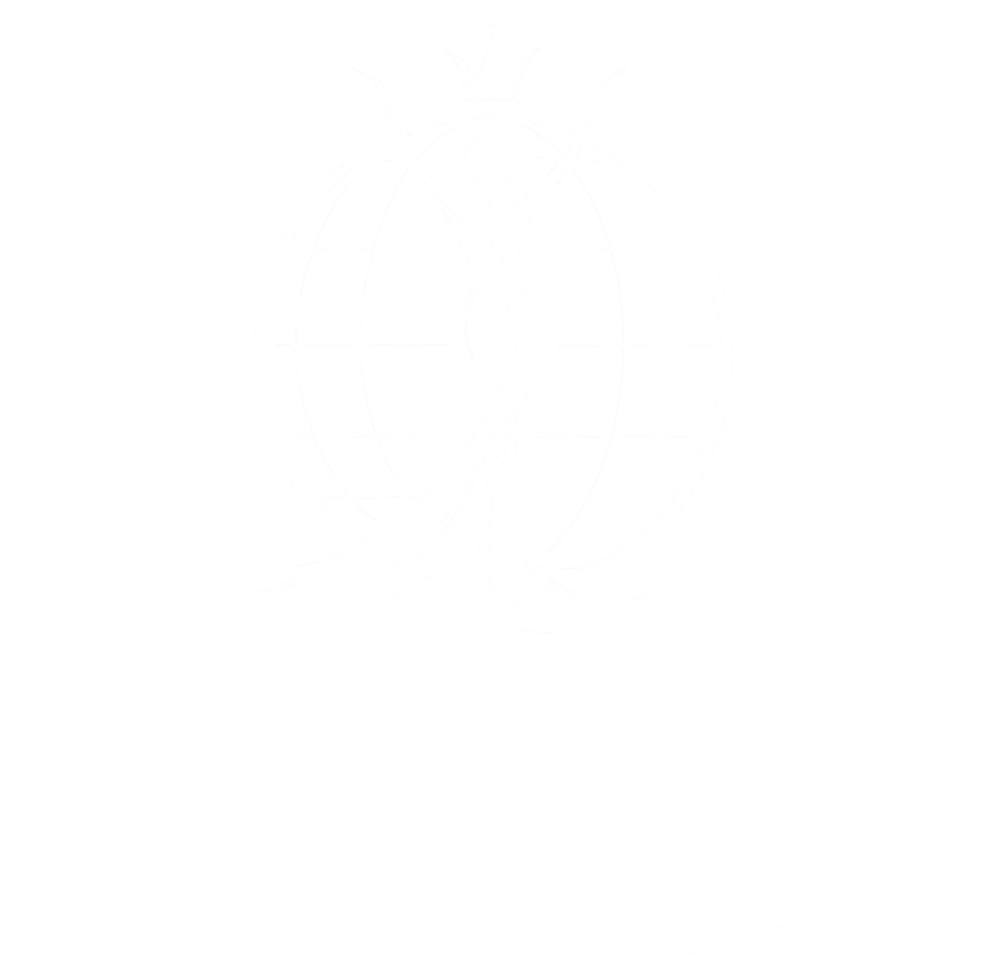Miss Aura International Concón